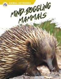 Book Cover for Mind-Boggling Mammals by Libby Wilson