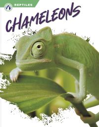 Book Cover for Chameleons by Megan Gendell