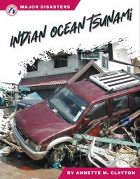 Book Cover for Indian Ocean Tsunami by Annette M Clayton