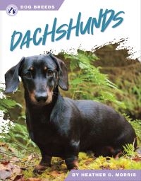 Book Cover for Dachshunds. Paperback by Heather C Morris