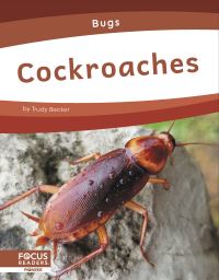 Book Cover for Cockroaches by Trudy Becker