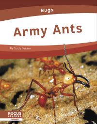 Book Cover for Army Ants by Trudy Becker
