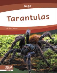 Book Cover for Tarantulas by Trudy Becker