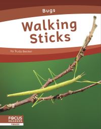 Book Cover for Walking Sticks by Trudy Becker