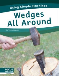 Book Cover for Wedges All Around by Trudy Becker