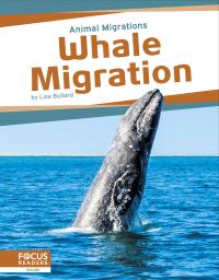 Book Cover for Whale Migration by Lisa Bullard