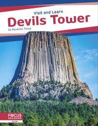 Book Cover for Devils Tower by Roxanne Troup