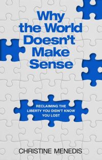 Book Cover for Why the World Doesn't Make Sense by Christine Menedis