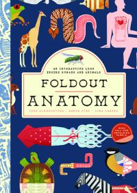 Book Cover for Foldout Anatomy by Jana Albrechtova