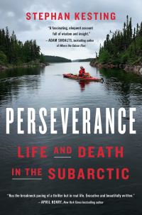 Book Cover for Perseverance by Stephan Kesting