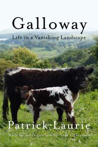 Book Cover for Galloway by Patrick Laurie