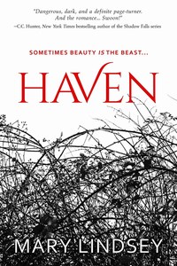 Book Cover for Haven by Mary Lindsey