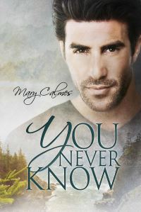 Book Cover for You Never Know by Mary Calmes