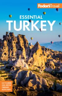 Book Cover for Essential Turkey by 