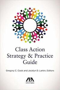Book Cover for Class Action Strategy & Practice Guide by American Bar Association