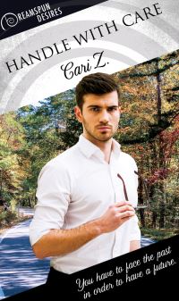 Book Cover for Handle With Care by Cari Z