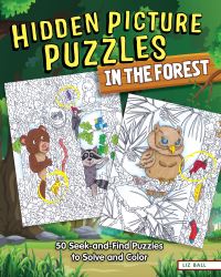 Book Cover for Hidden Picture Puzzles by Liz Ball