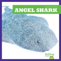 Book Cover for Angel Shark by Jenna Lee Gleisner