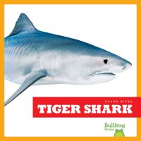 Book Cover for Tiger Shark by Jenna Lee Gleisner