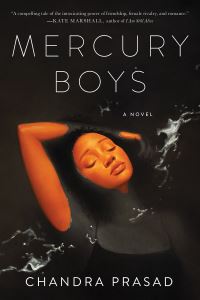 Book Cover for Mercury Boys by Chandra Prasad