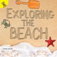 Book Cover for Exploring the Beach by Savina Collins