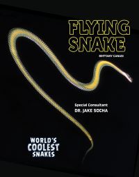 Book Cover for Flying Snake by Brittany Canasi, Jake Socha