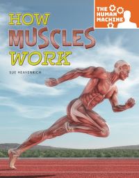 Book Cover for How Muscles Work by Sue Heavenrich