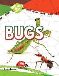 Book Cover for Bugs by Grace Ramsey