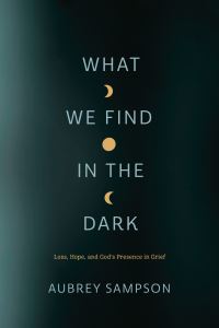 Book Cover for What We Find in the Dark by Aubrey Sampson