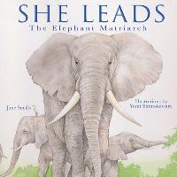Book Cover for She Leads by June Smalls
