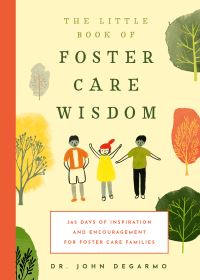 Book Cover for The Little Book of Foster Care Wisdom by John DeGarmo