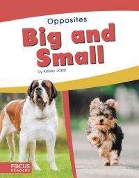 Book Cover for Big and Small by Kelsey Jopp