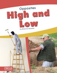 Book Cover for High and Low by Brienna Rossiter