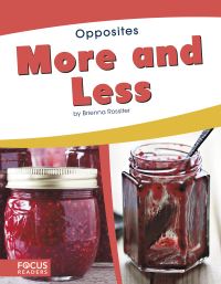 Book Cover for More and Less by Brienna Rossiter
