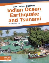 Book Cover for Indian Ocean Earthquake and Tsunami by Stephanie Bearce