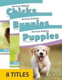 Book Cover for Animal Babies (Set of 8). Hardcover by 