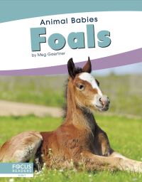 Book Cover for Foals by Meg Gaertner