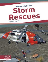 Book Cover for Storm Rescues by Mark L Lewis