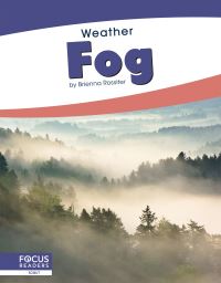 Book Cover for Fog by Brienna Rossiter