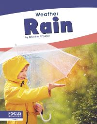 Book Cover for Rain by Brienna Rossiter