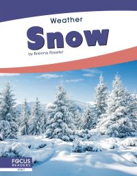 Book Cover for Snow by Brienna Rossiter