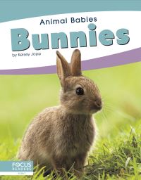 Book Cover for Bunnies. Paperback by Kelsey Jopp