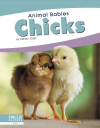 Book Cover for Chicks by Kelsey Jopp