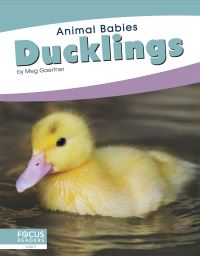 Book Cover for Ducklings. Paperback by Meg Gaertner