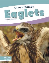 Book Cover for Eaglets. Paperback by Meg Gaertner