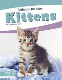 Book Cover for Kittens. Paperback by Meg Gaertner