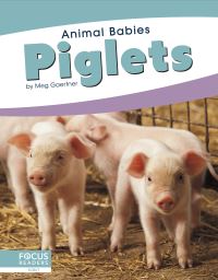 Book Cover for Piglets. Paperback by Meg Gaertner