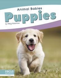 Book Cover for Puppies. Paperback by Meg Gaertner