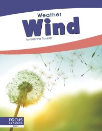 Book Cover for Wind. Paperback by Brienna Rossiter