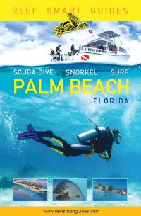 Book Cover for Palm Beach, Florida by Ian Popple, Peter McDougall